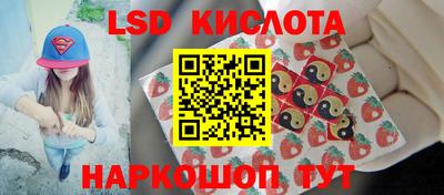 тгк Новодвинск