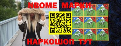 тгк Новодвинск
