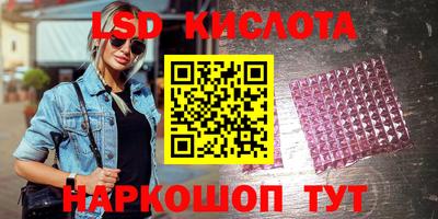 тгк Новодвинск