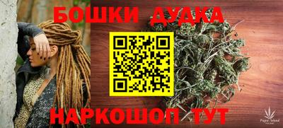 тгк Новодвинск