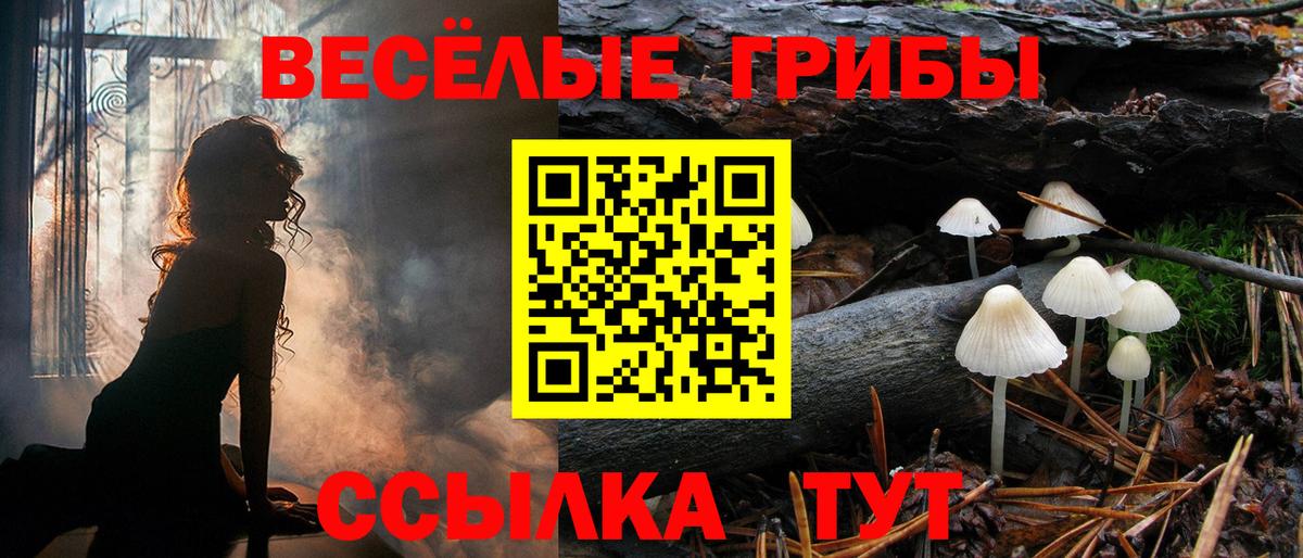 Псилоцибиновые грибы Psilocybine cubensis  Вход с VPN  Чайковский 
